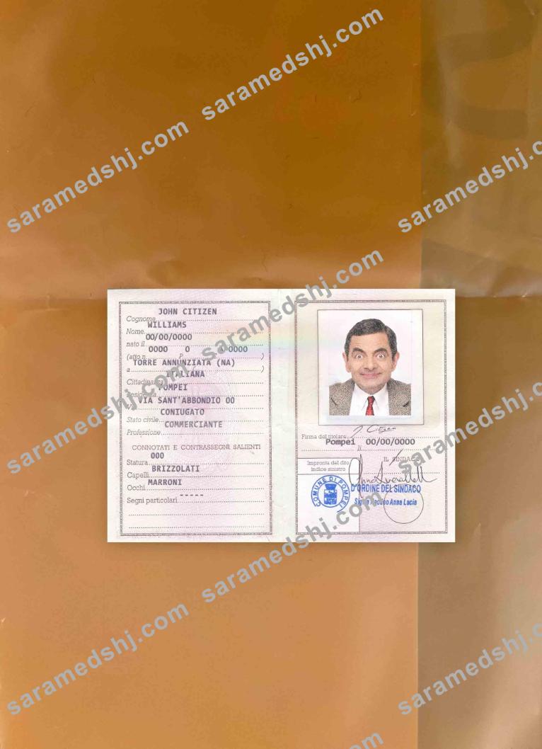 Italy Identity Card (La Carta D’Identita’ Italiana) photolook BACK